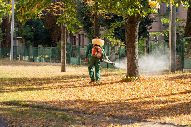 Best Cockroach Control Services  in Centralia, MO